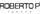 Roberto P. Luxury